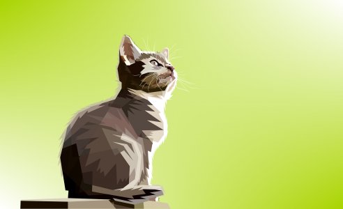 Animal colorful digital prints